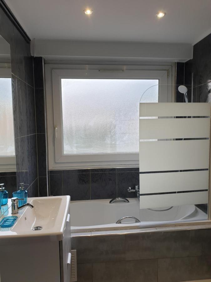 Appartement La Roseraie Proche Centre/Gare Metz Kültér fotó